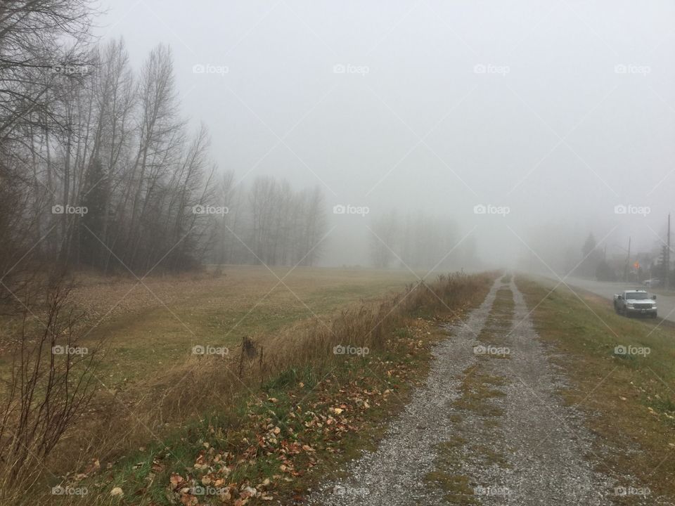 Foggy walk