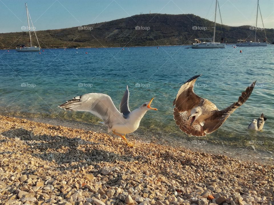 Discussions about food