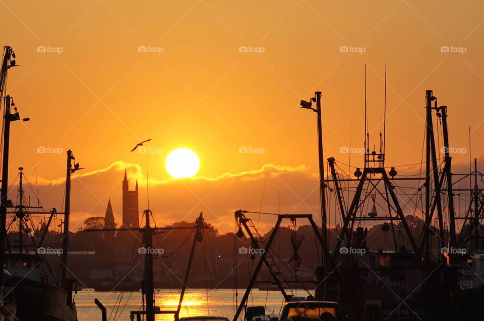 Harbor Sunrise