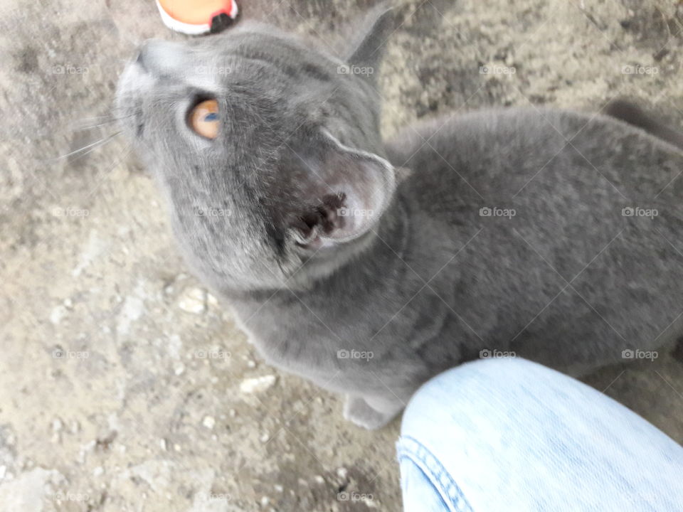 perfect imperfection