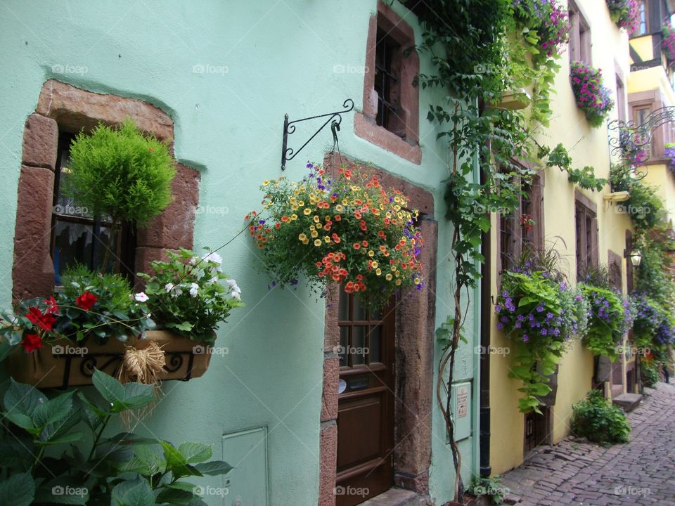 Beautiful Riquewihr Floral Display