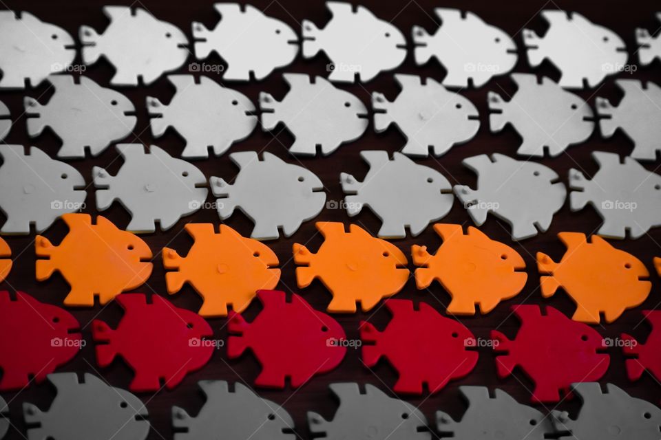 Selected focus, black and white, red fish, orange fish, fish, background, header, toys, indoor, full frame, no person