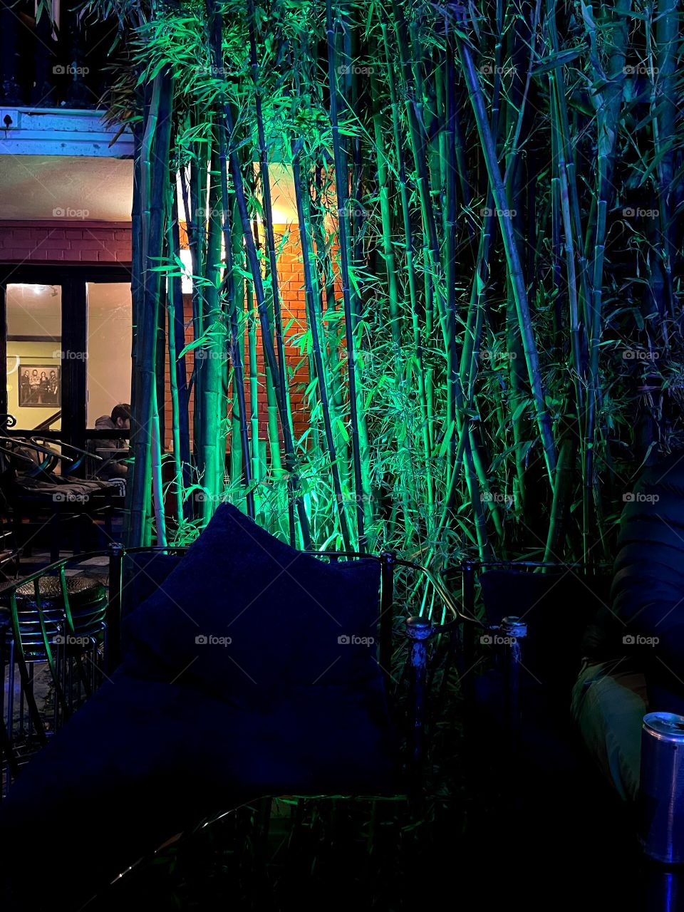 Green lights on bamboo 