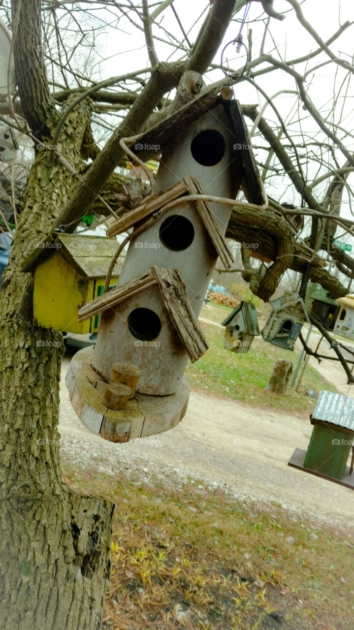 birdhouse
