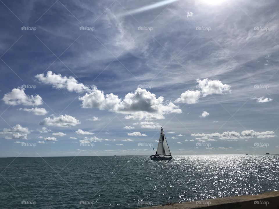 Sailing in the beautiful sunlight of Miami 