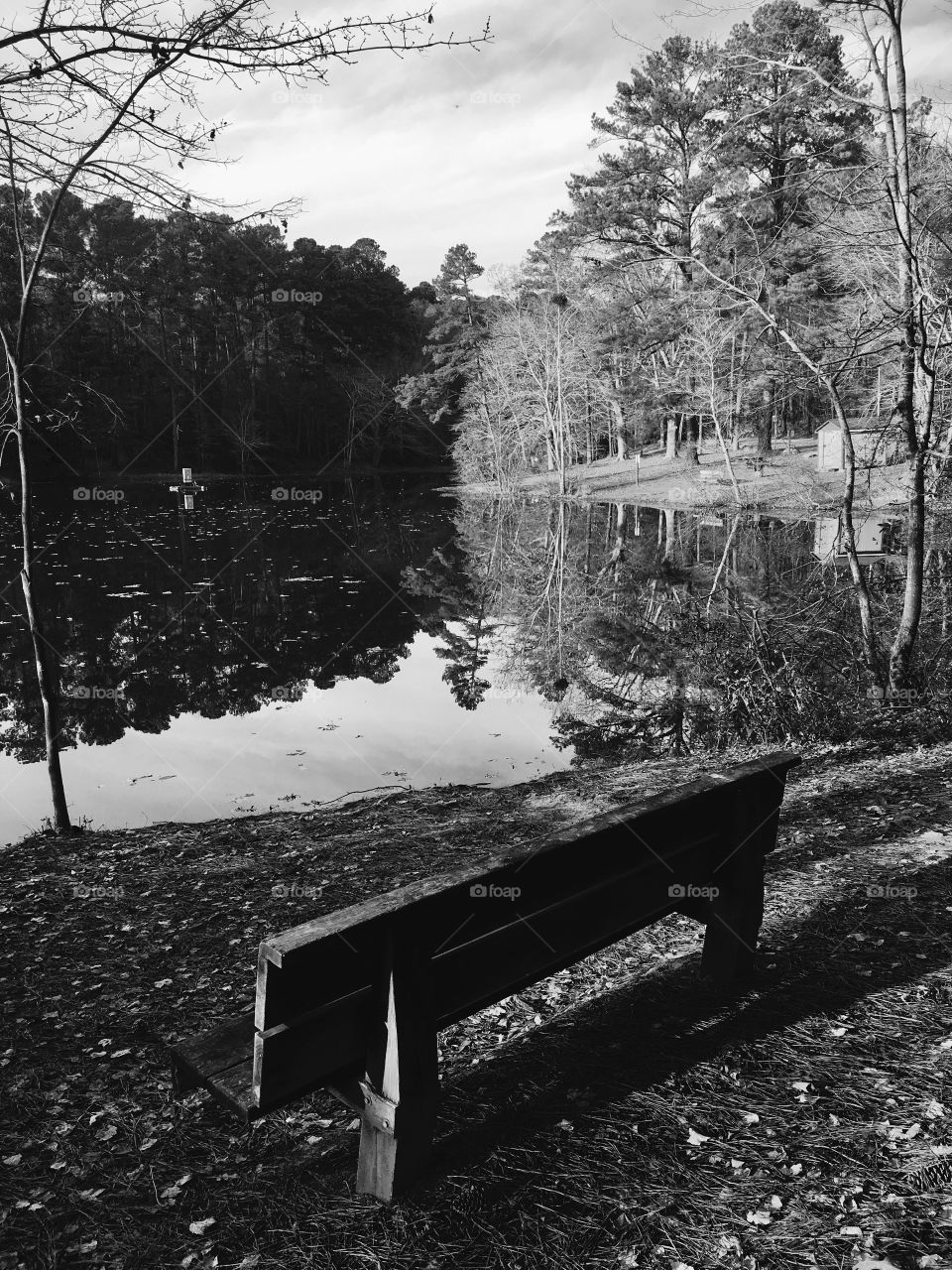 Leisure at Lake Wheeler 