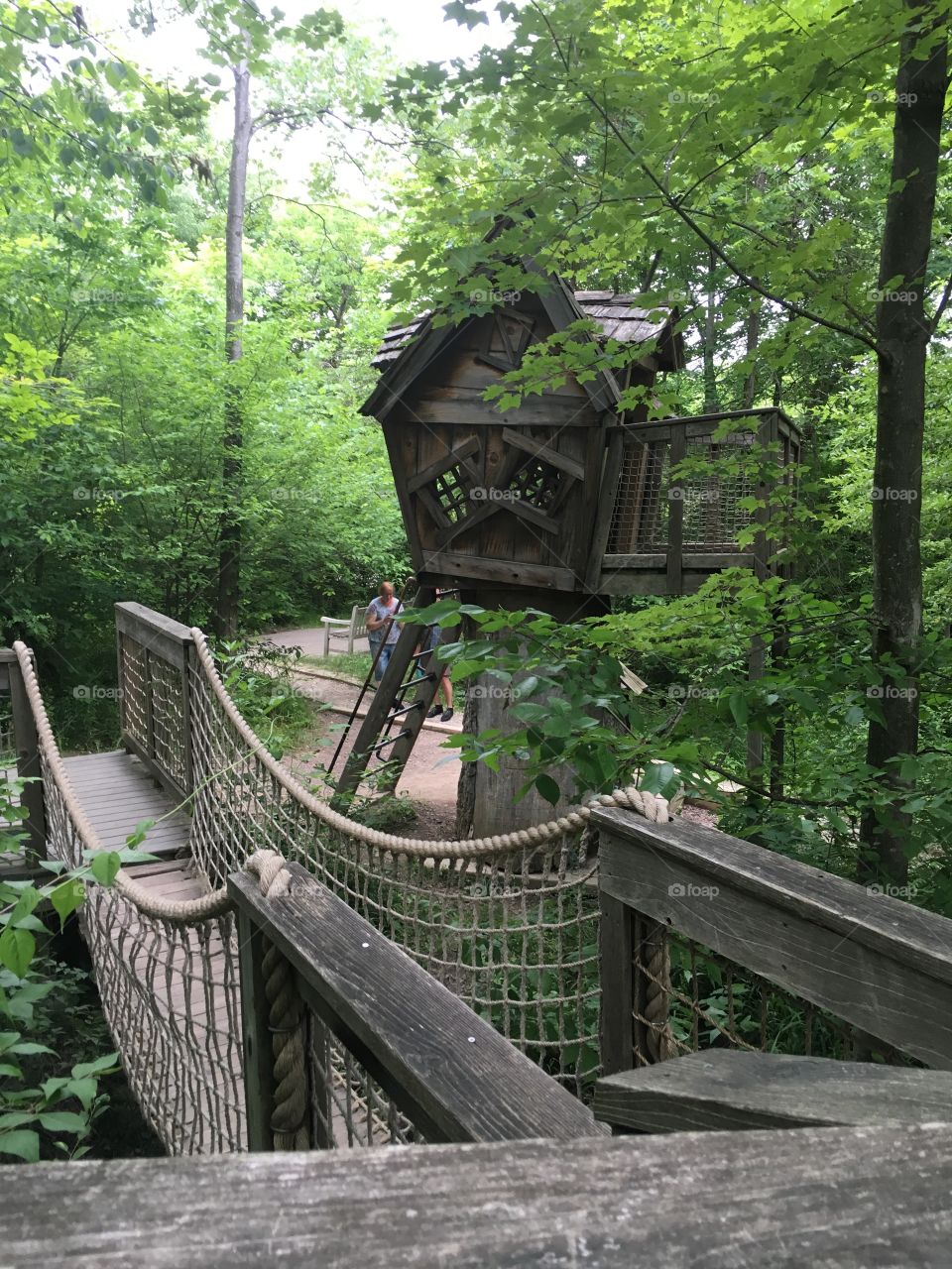 Tree house hideout