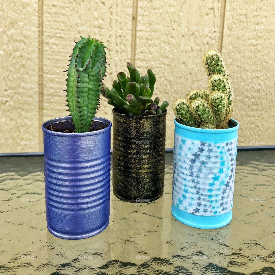 Flower pots from tin cans