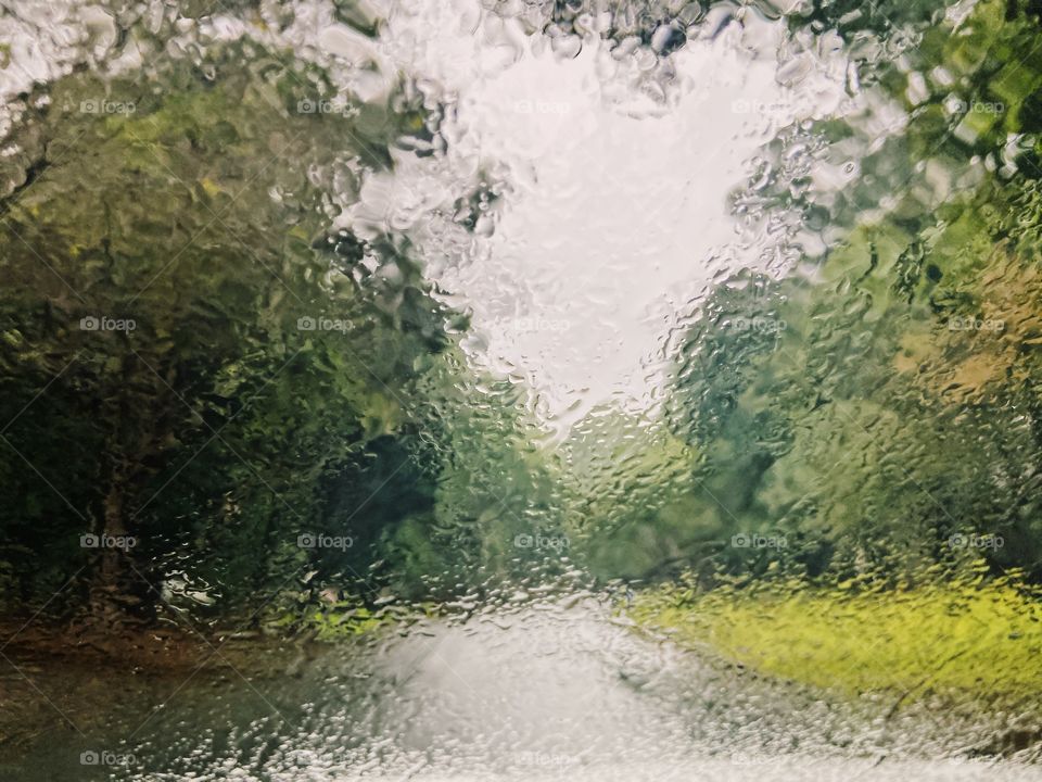 A tree lined street through the perspective of a rain soaked windshield.