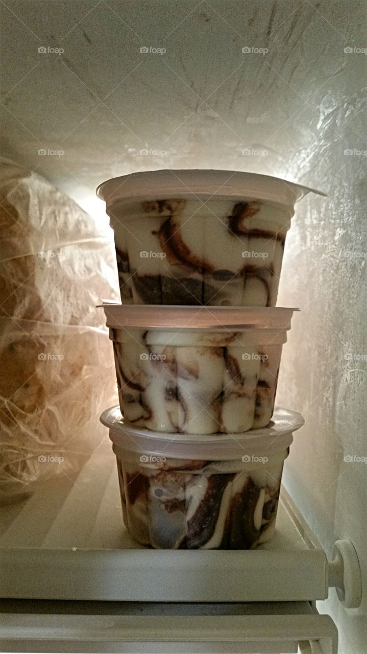 Fudge Ripple Ice Cream in the Freezer waiting to be discovered!