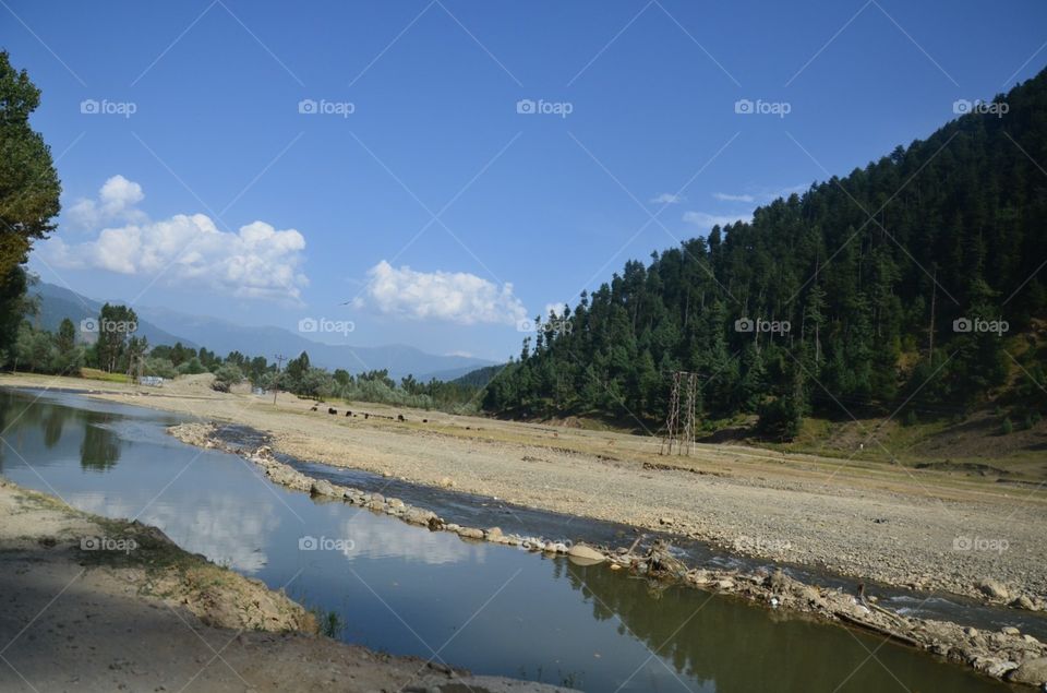 Kashmir