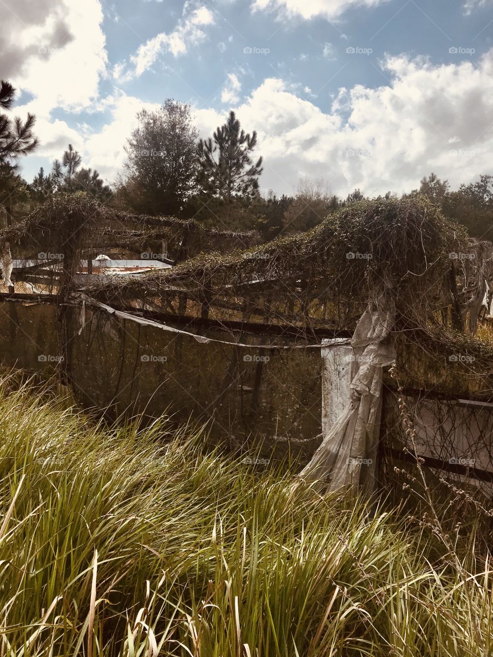 Hawthorne Nursery urbex abandoned