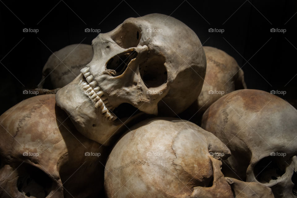 Skulls on show for the public at a local museum in Sweden.