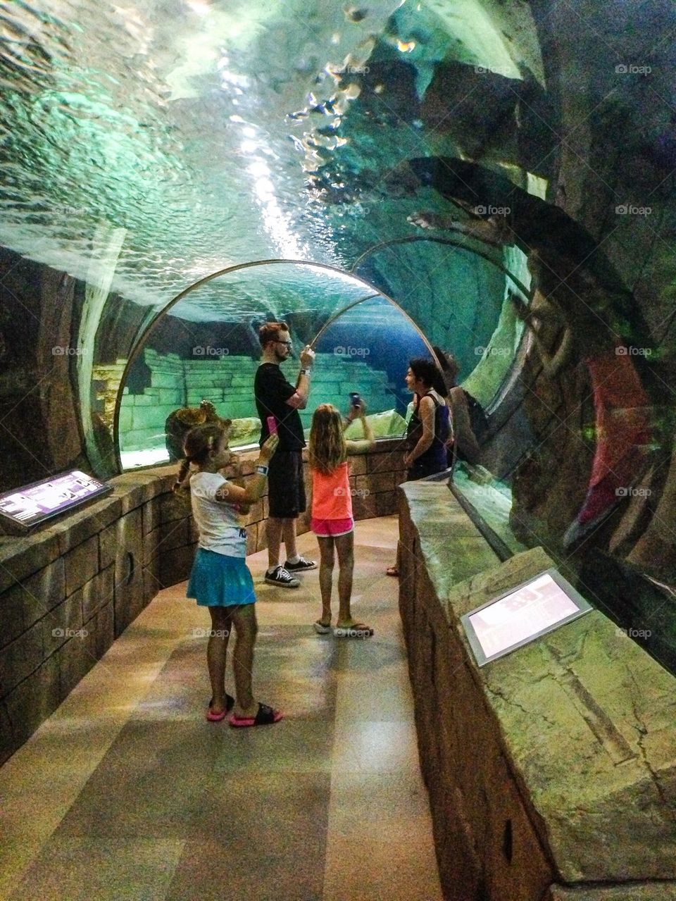 Mall of America indoor aquarium 