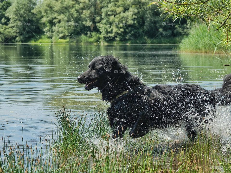 Fun at the lake