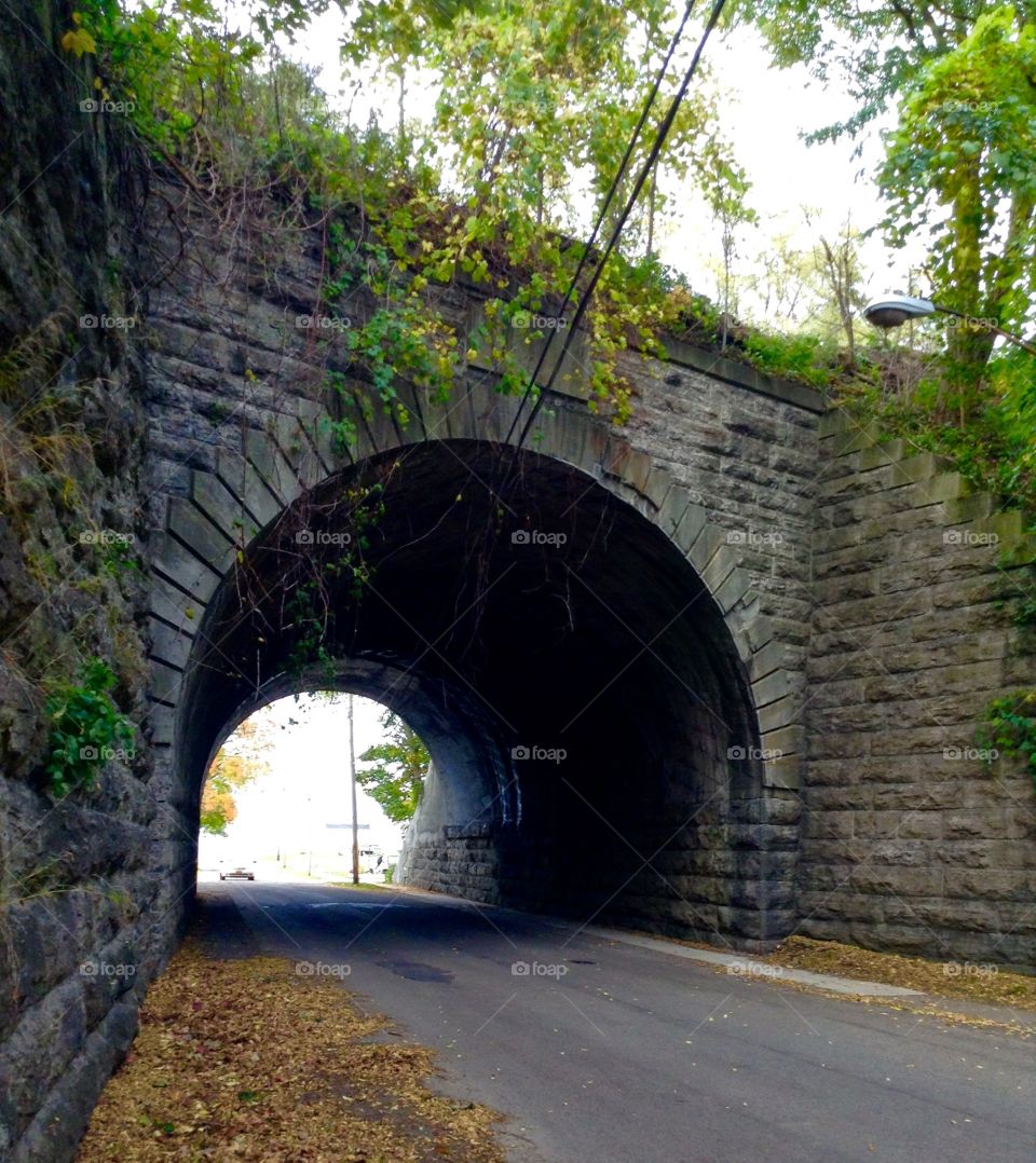 One of the first arches built in western New York...