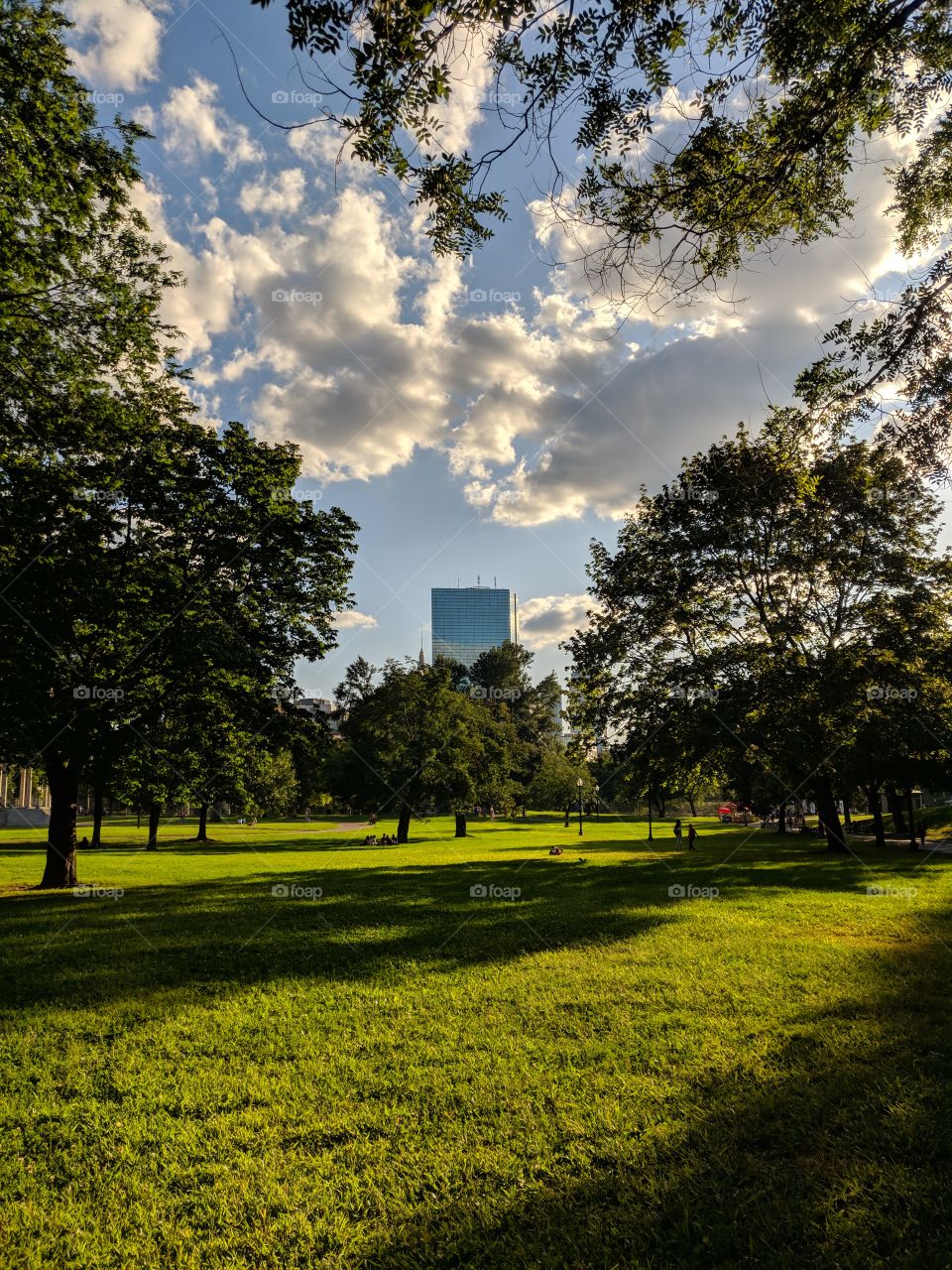 Gorgeous day in Boston Common.