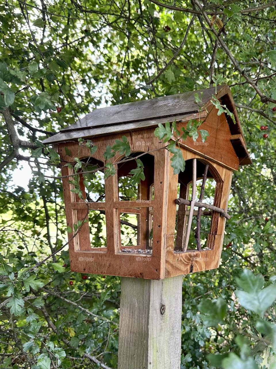 Birdhouse along towpath of Grand Union canal in Braunston England near locks tree line bank nature historic waterway narrowboat cruise vacation English country 