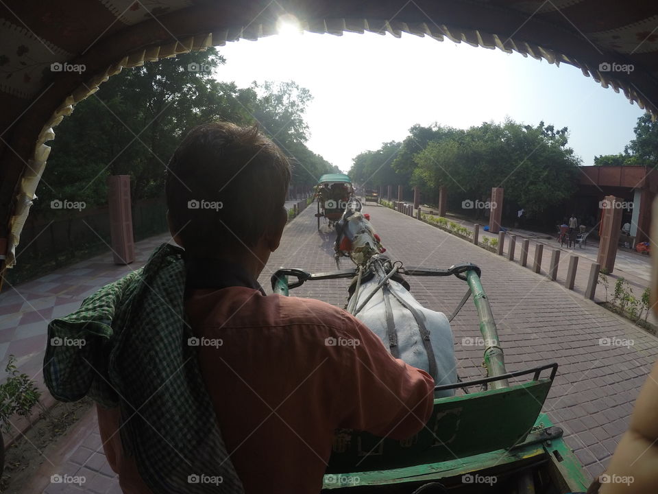 horse rickshaw