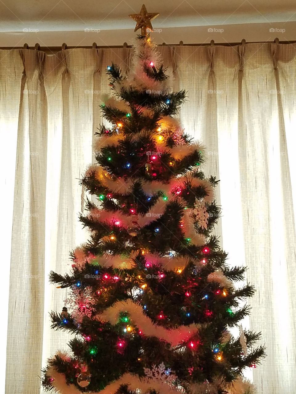 it's beginning to look like Christmas!