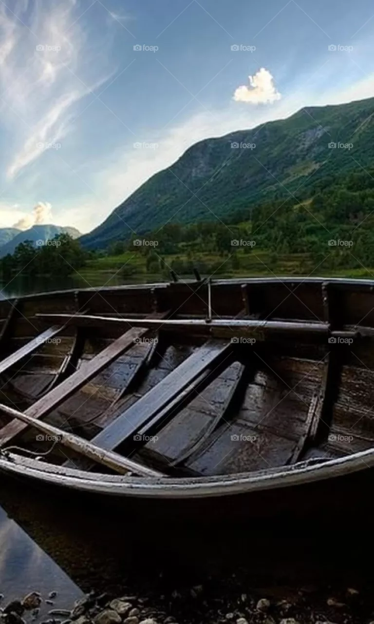 Wood in sea