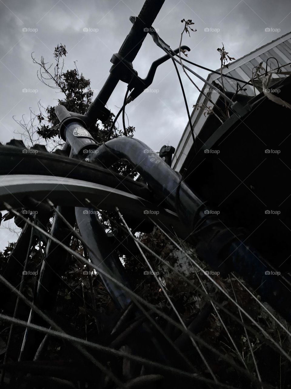 A Lonely Bicycle At Night Forgotten But Standing In The Midst Of Branches And Plants In The Grass.