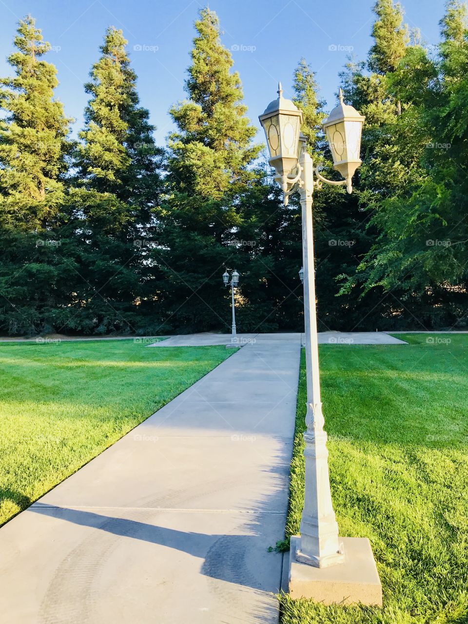The green color and the light posts of the backyard enhance the beauty of the garden design.