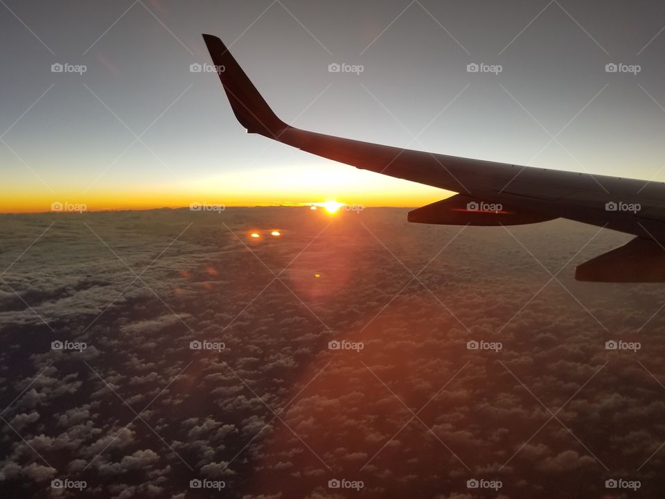 flight with a sunset