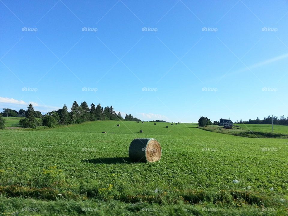 PEI farmland