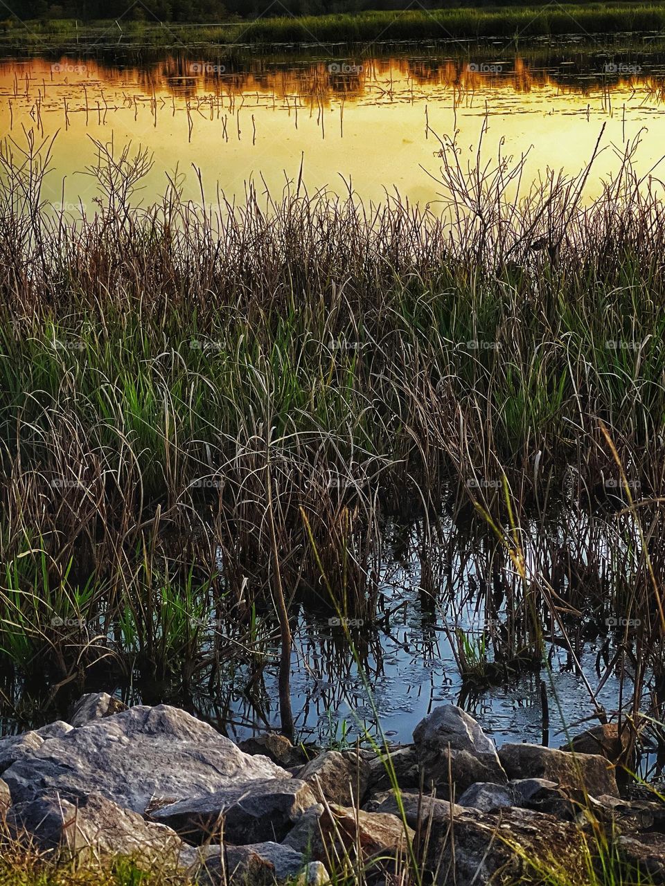 The lake bank of Loakfoma Lake.