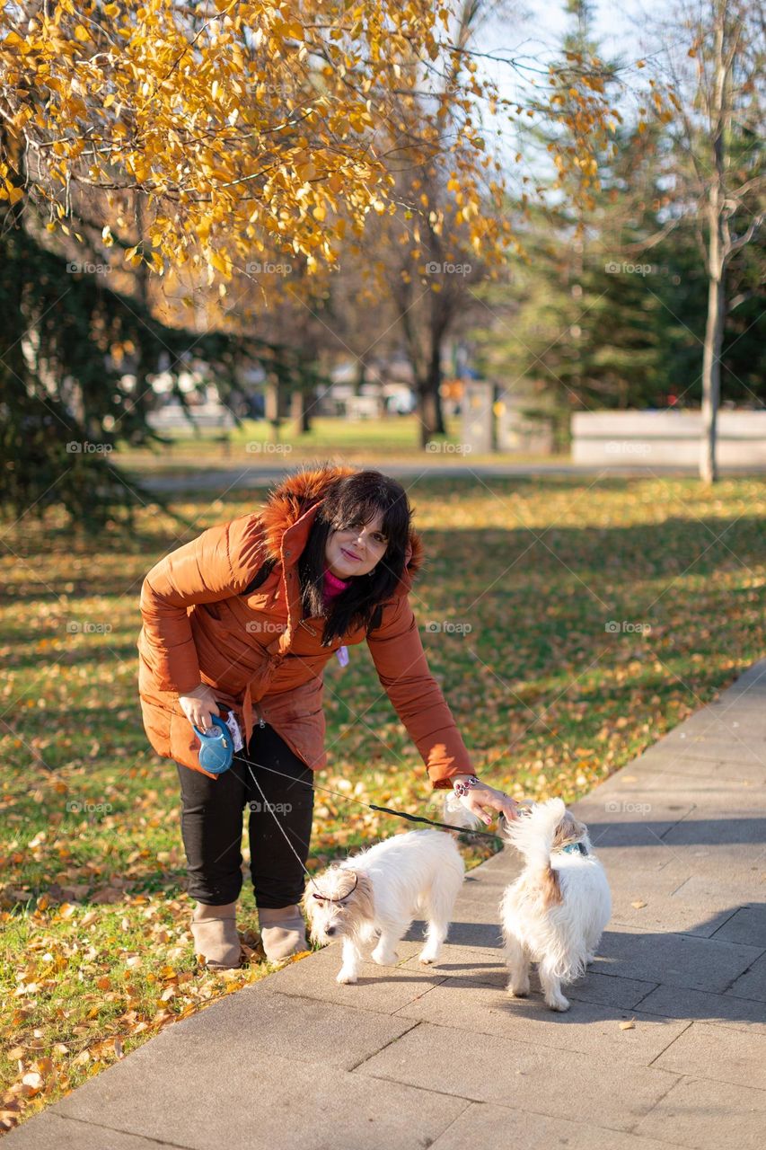 Taking a dogs to a walk