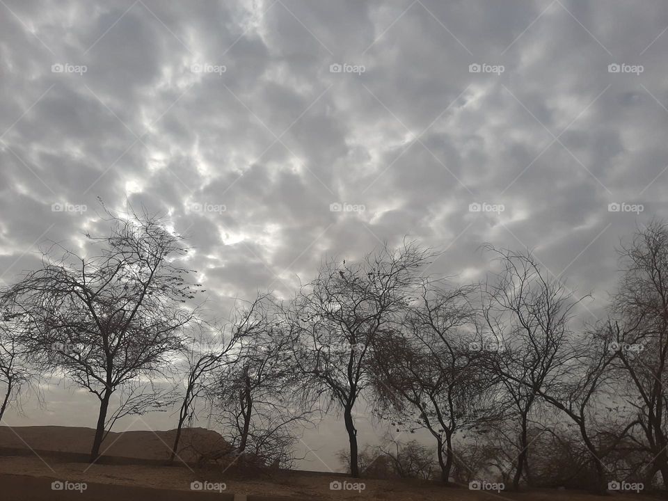 Please make me happy, I am poor, I need your help with support