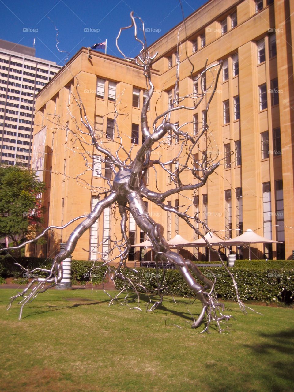 Lawn Art. Sydney Urban Art