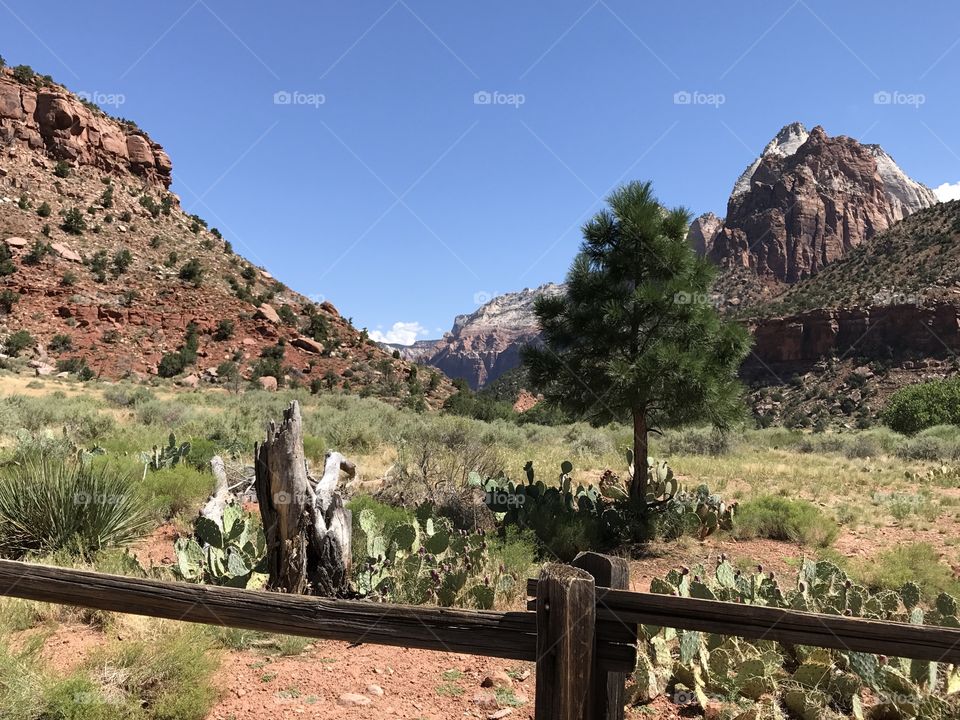 Zion National Park