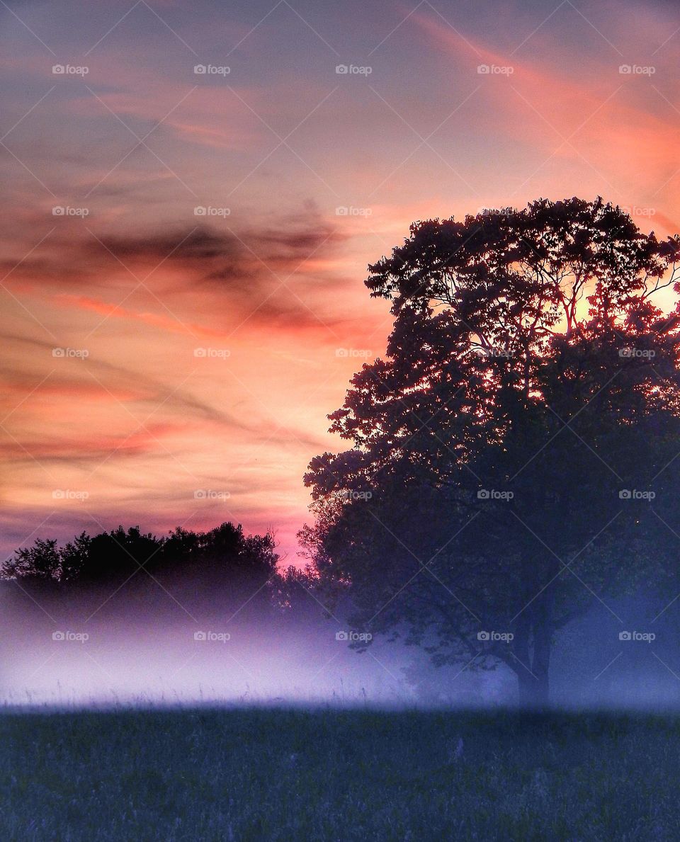 mist appears from nowhere on country field