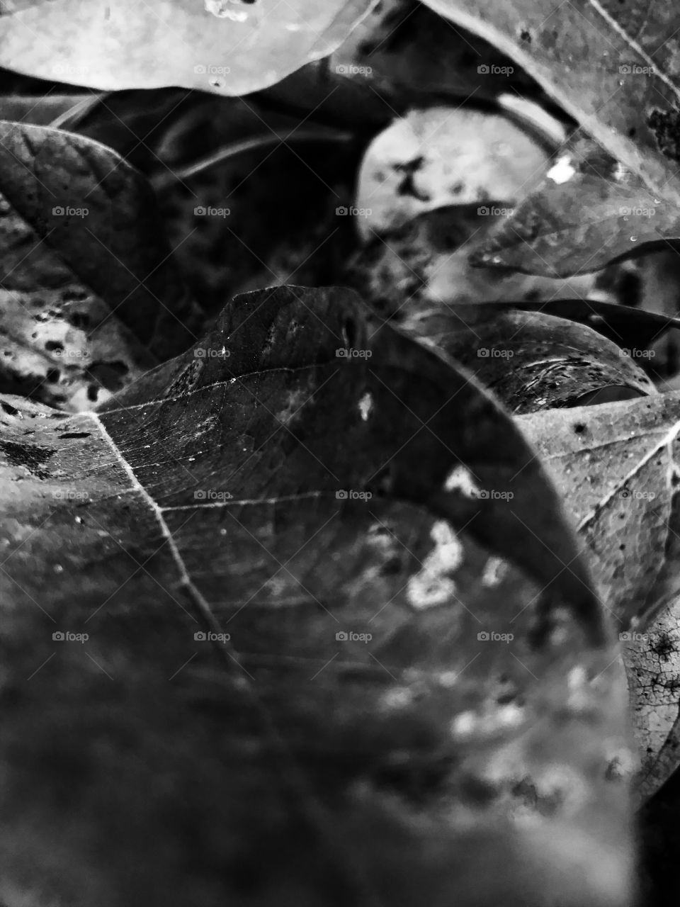 Nature - One of the most wonderful gifts we are able to experience each and every day. 