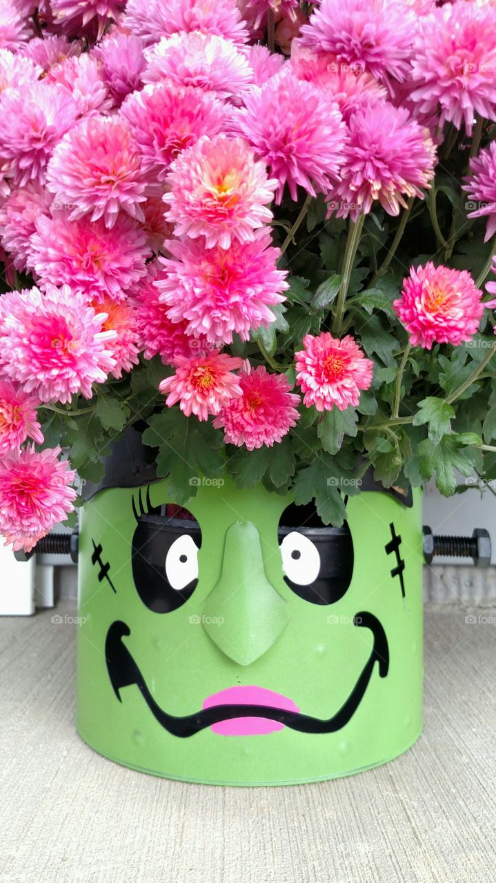 Halloween mum do-it-yourself project mrs. Frankenstein mum pot
