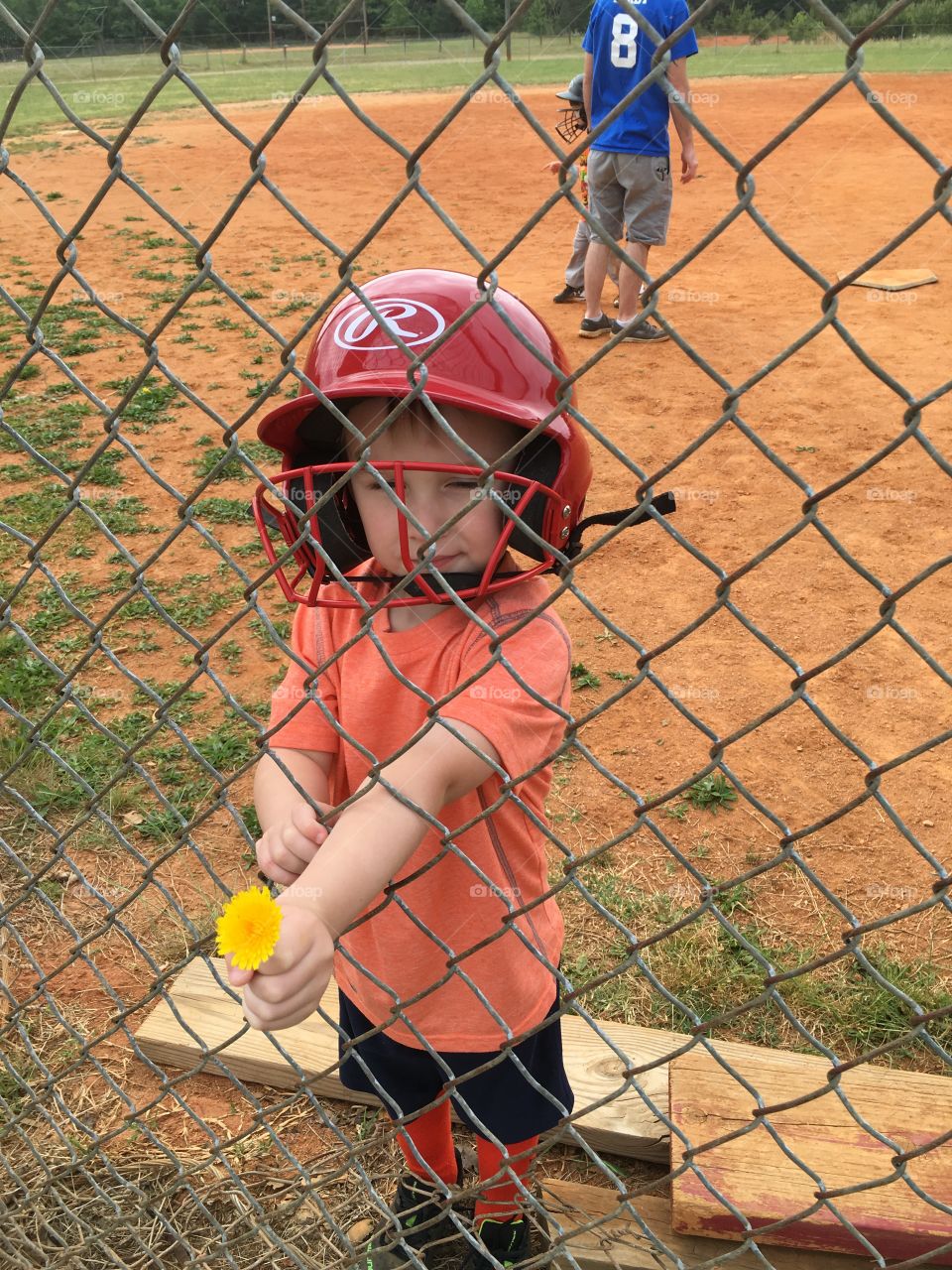 A little boy in helmet standing behind wire fence giving flower