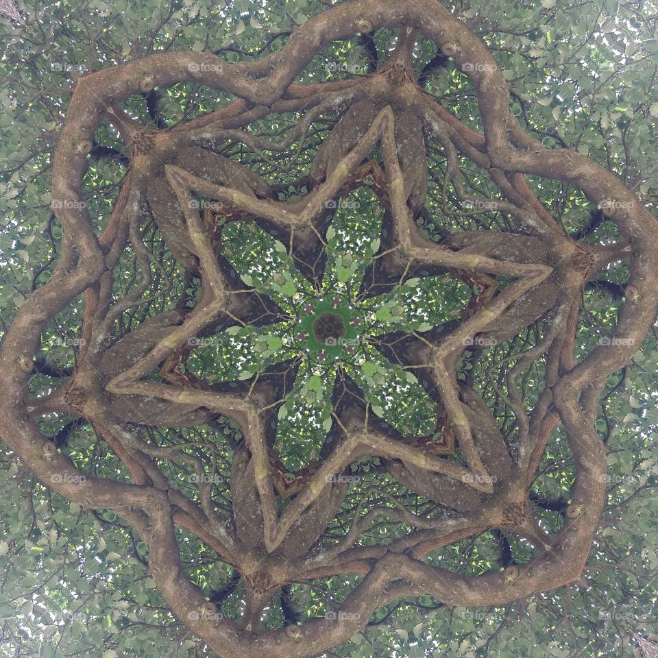 Tree mandala