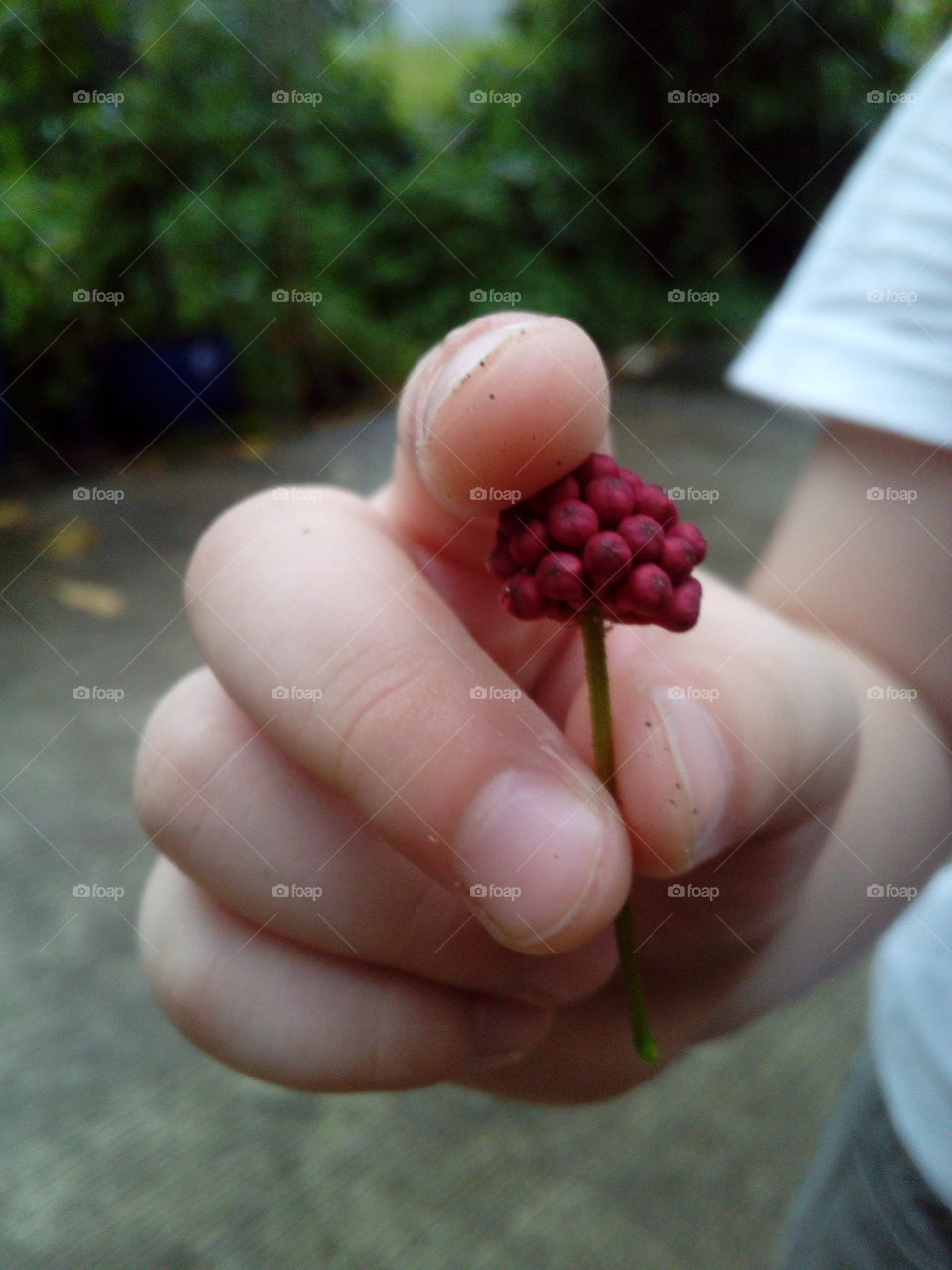 Holding a flower seed