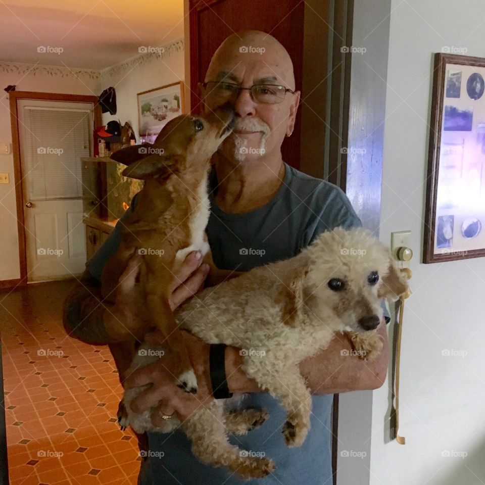 Senior man holding puppies at home