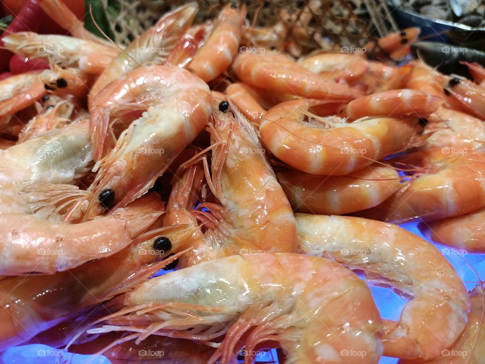Prawns