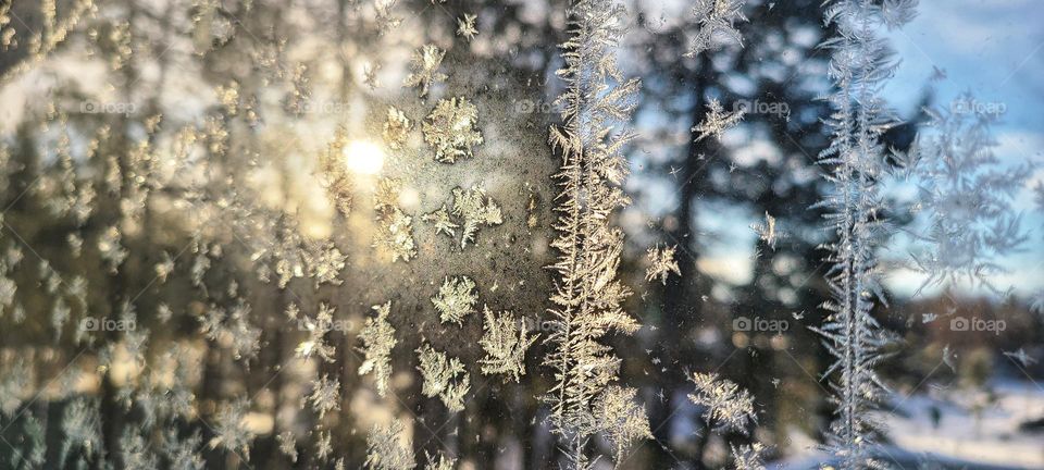 Frozen and frosted windows in the winter sunshine