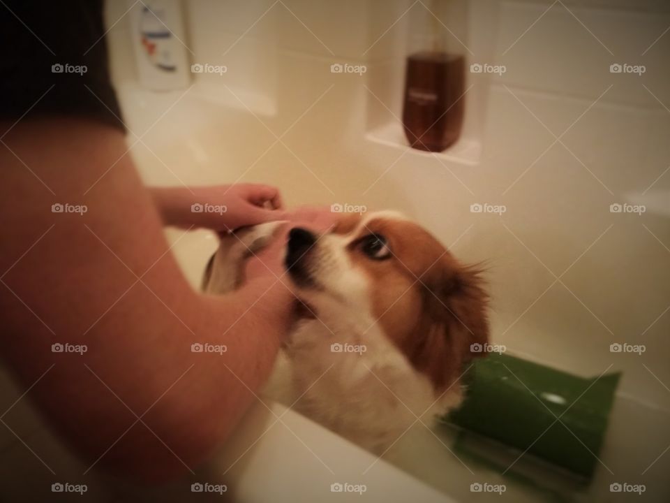 Sweet Look at Bath time