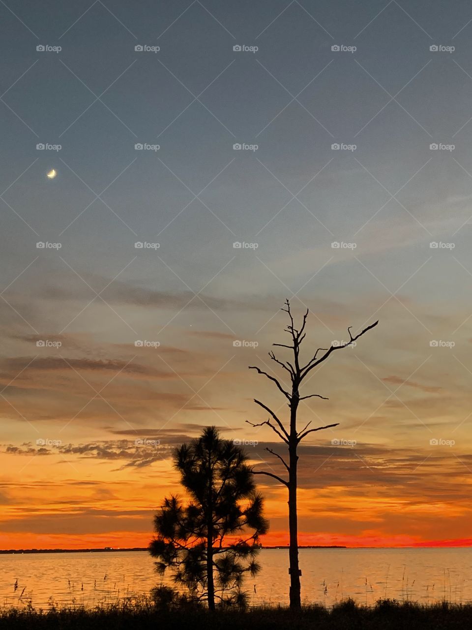 Day and night by Foap Missions - It’s not very often when you can capture the night and day together. During a brilliant sunset the moon is shown in the corner. 