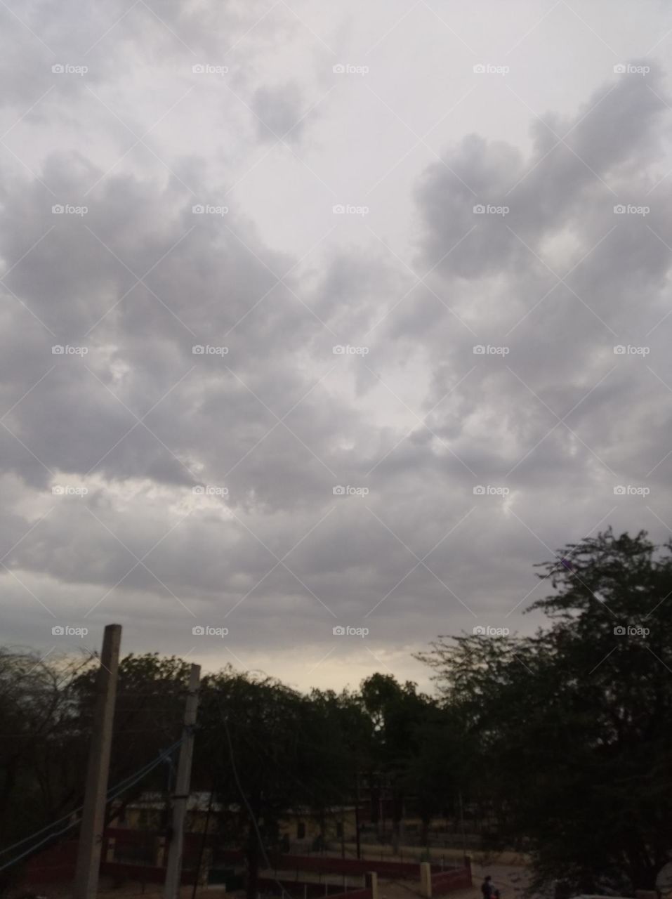 a rainy day clouds scattered dark trees forest looks very beautiful whites sky, slightly shining