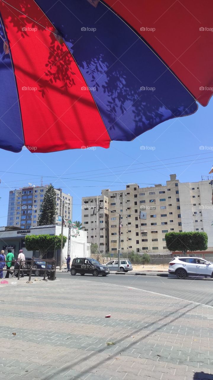 What is the interesting thing in this picture