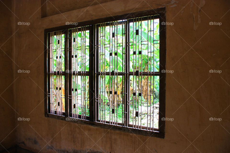 Windows