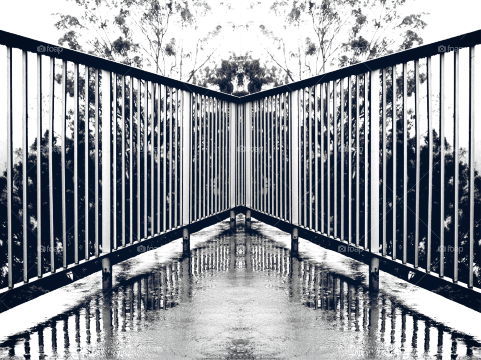 Incredible Reflection 