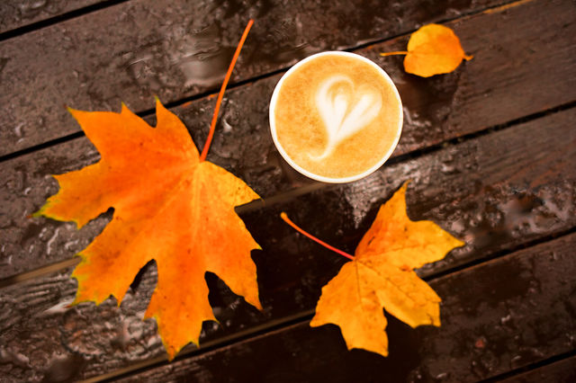 Latte cappucino art with bright vivid maple leaves on wooden wet table